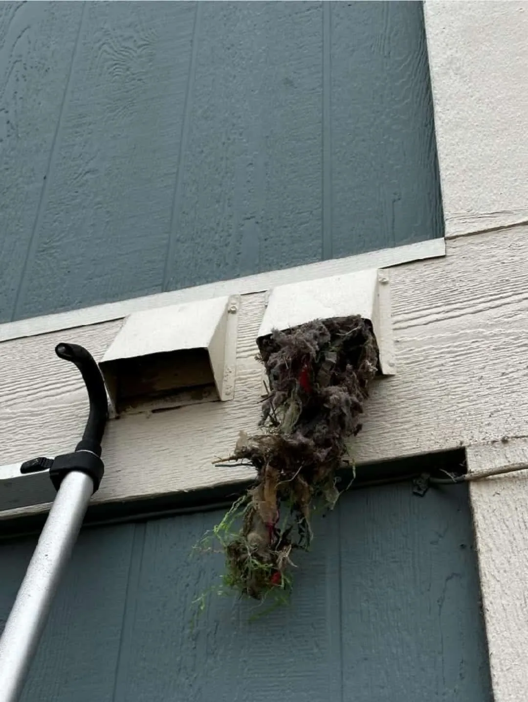 Debris spilling out of drying vent during dryer vent cleaning.